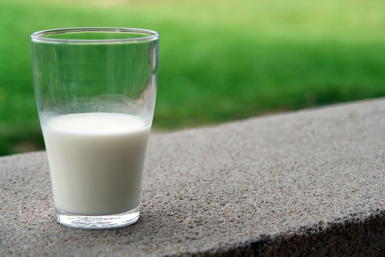 Learn the Health Benefits of Raw Milk