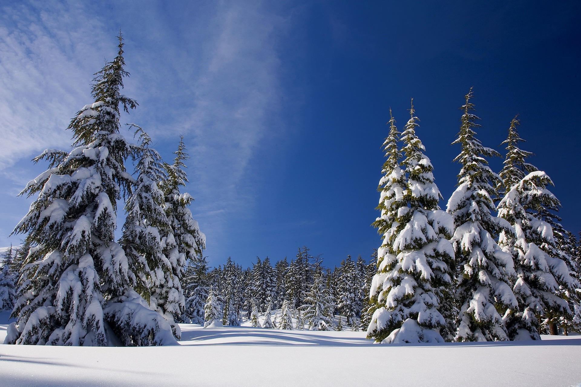 Ways to Beat SADD and Stay Happy in Winter